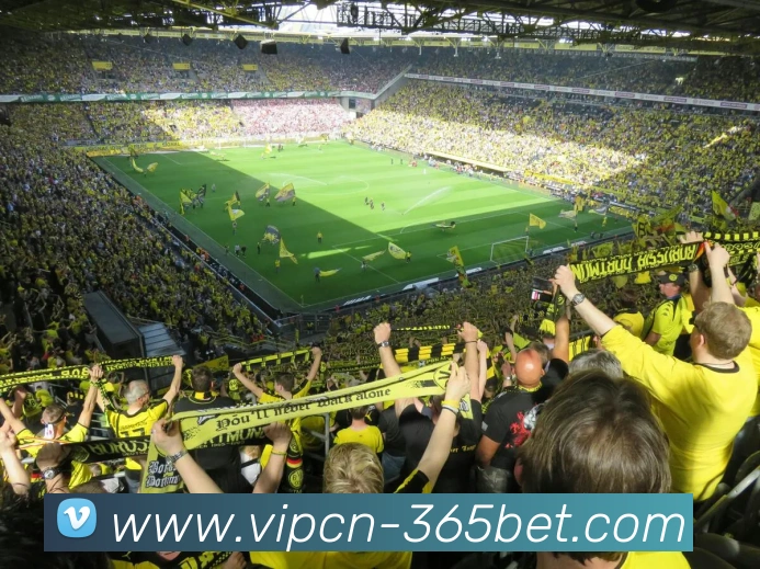 365betAPP 体育赛事宣传图